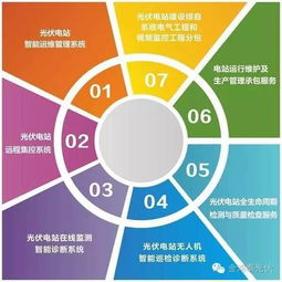 金鸿泰光伏电站无人机智能巡检诊断系统的运行维护服务